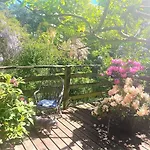 Solmare Bed & Breakfast