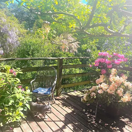 Solmare Bed & Breakfast