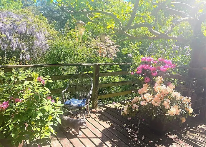 Solmare Bed & Breakfast